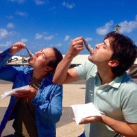 Holländischer Matjes Holländischer Matjes