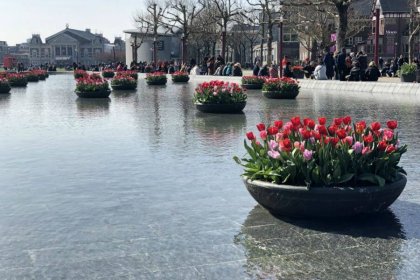 Météo à Amsterdam Météo à Amsterdam