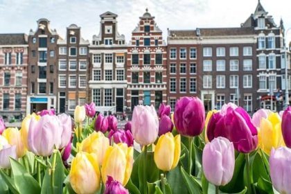 Excursión de un día desde Ámsterdam