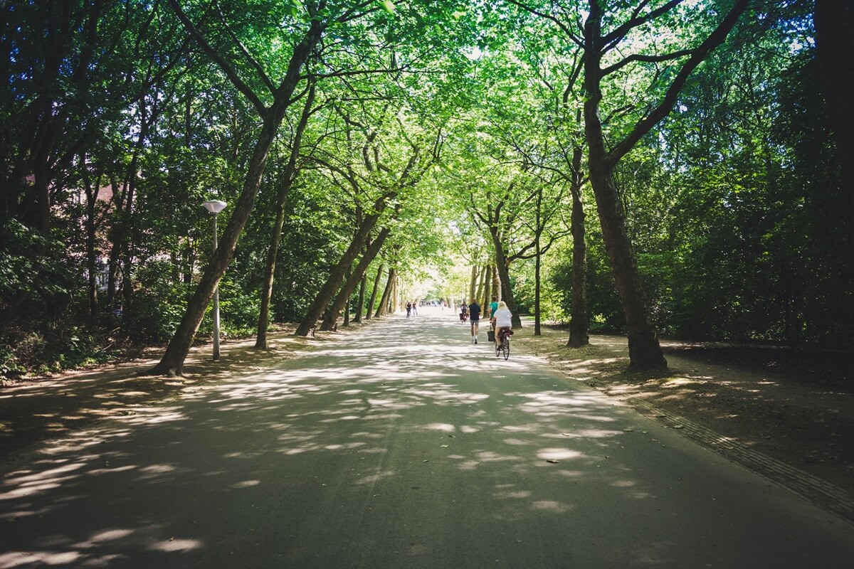 Vondelpark Amsterdam Vondelpark Amsterdam