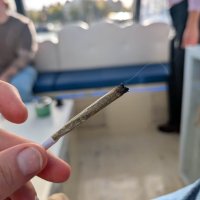 Cloud boat Amsterdam