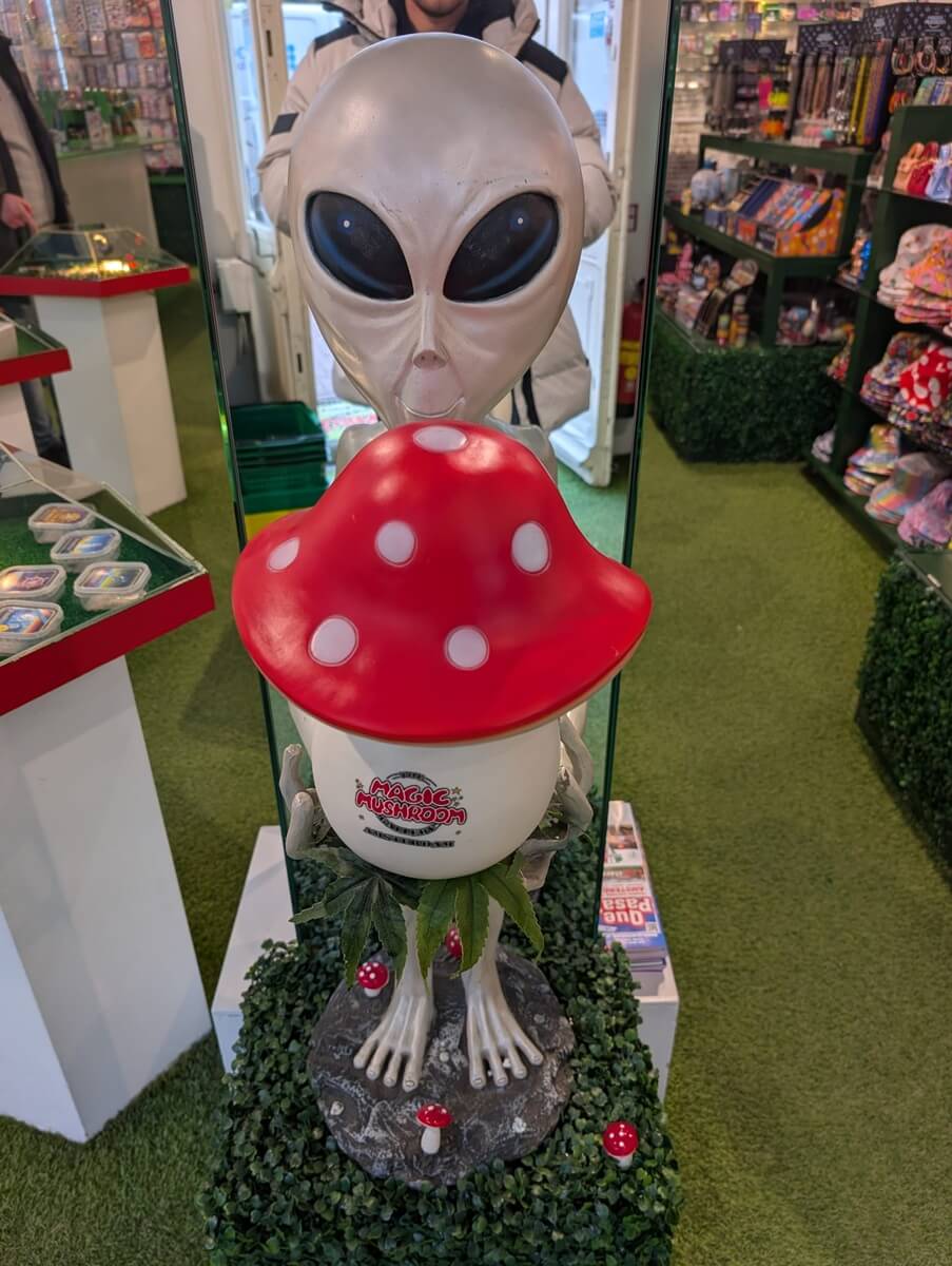 The Magic Mushroom Gallery smartshop - alien in front of souvenirs