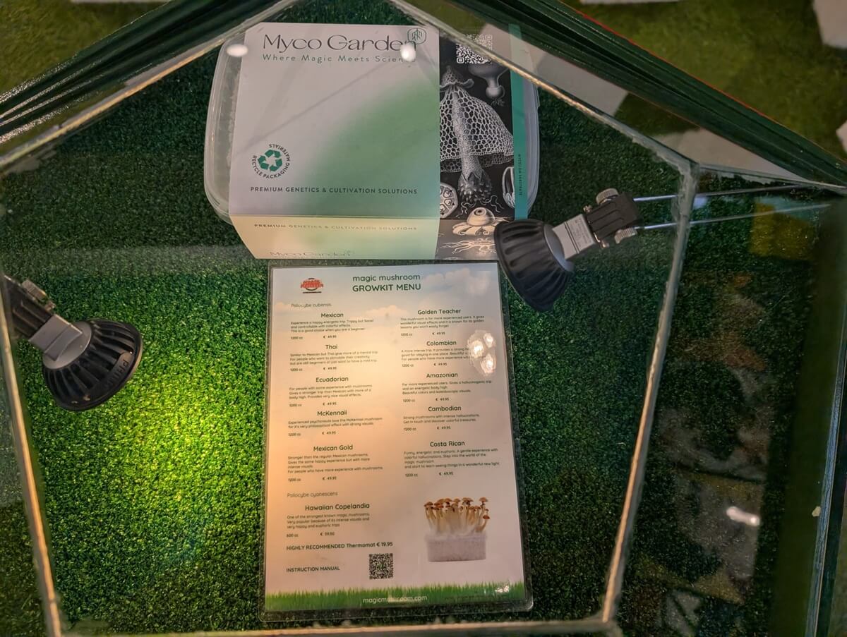 The Magic Mushroom Gallery smartshop - psilocybin mushroom growkit