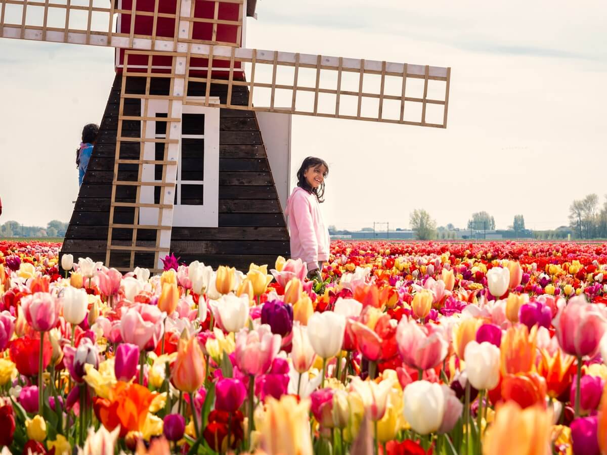 Girl posing for a miniature windmill in flower field - Tulip Experience Amsterdam